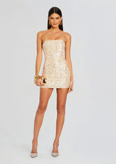 Heather Sequin Dress